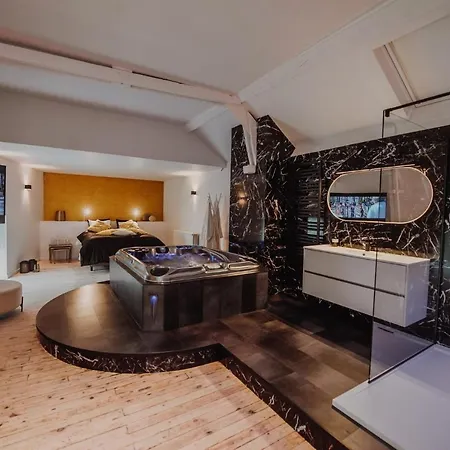 ゲストハウス Quinze Et Wellness De Luxe シネイ