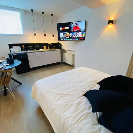 Quinze Et Wellness De Luxe Penzion