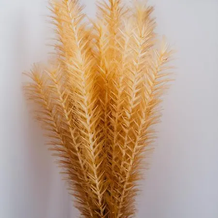 Quinze Et Wellness De Luxe בית הארחה 4*