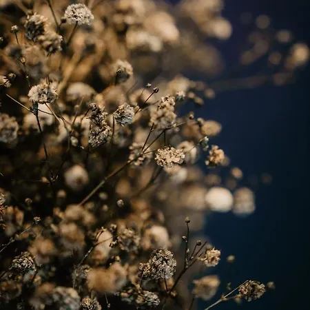 Maison d'hôtes Quinze Et Wellness De Luxe Ciney